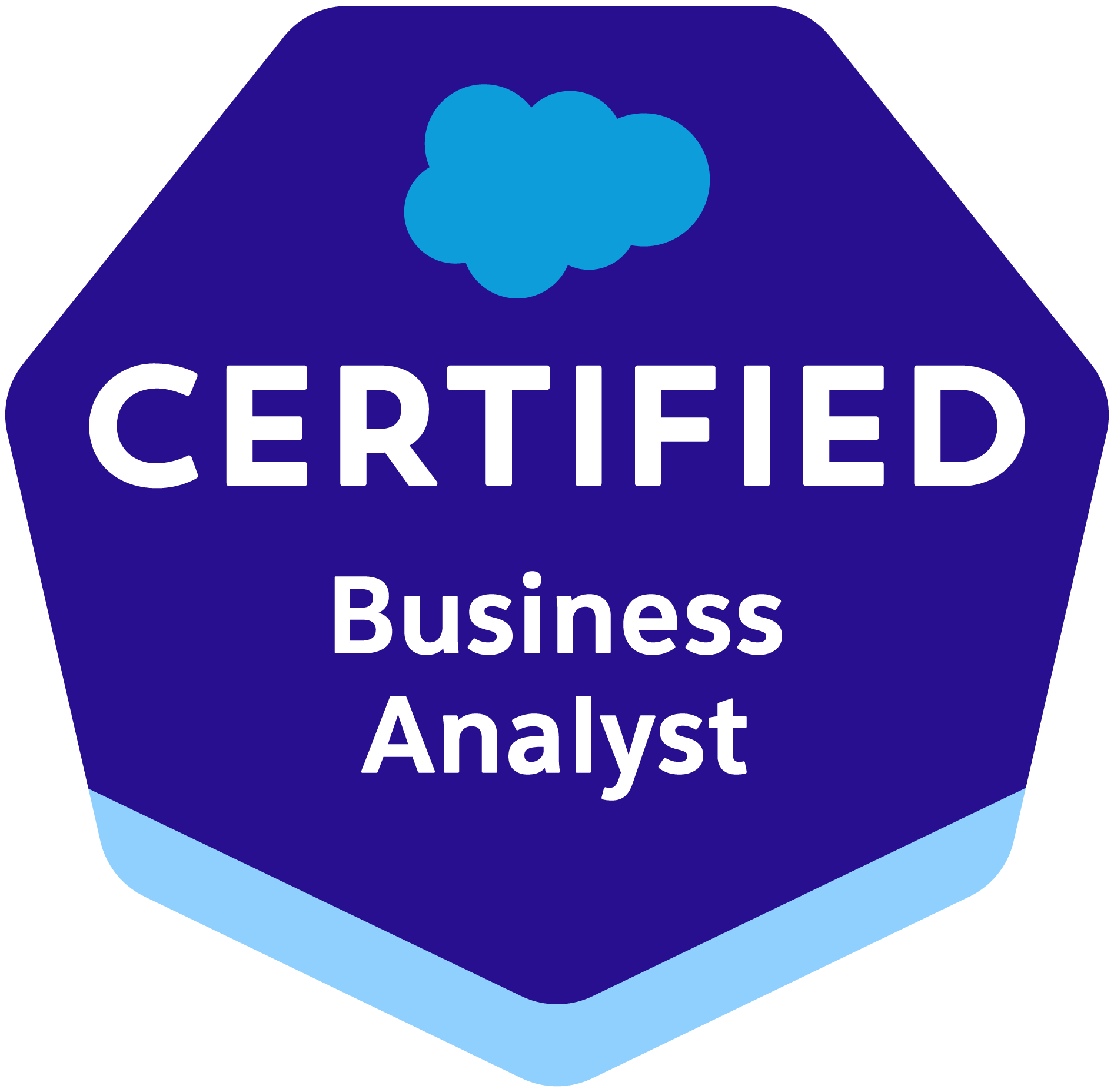 Salesforce Certified Business Analyst