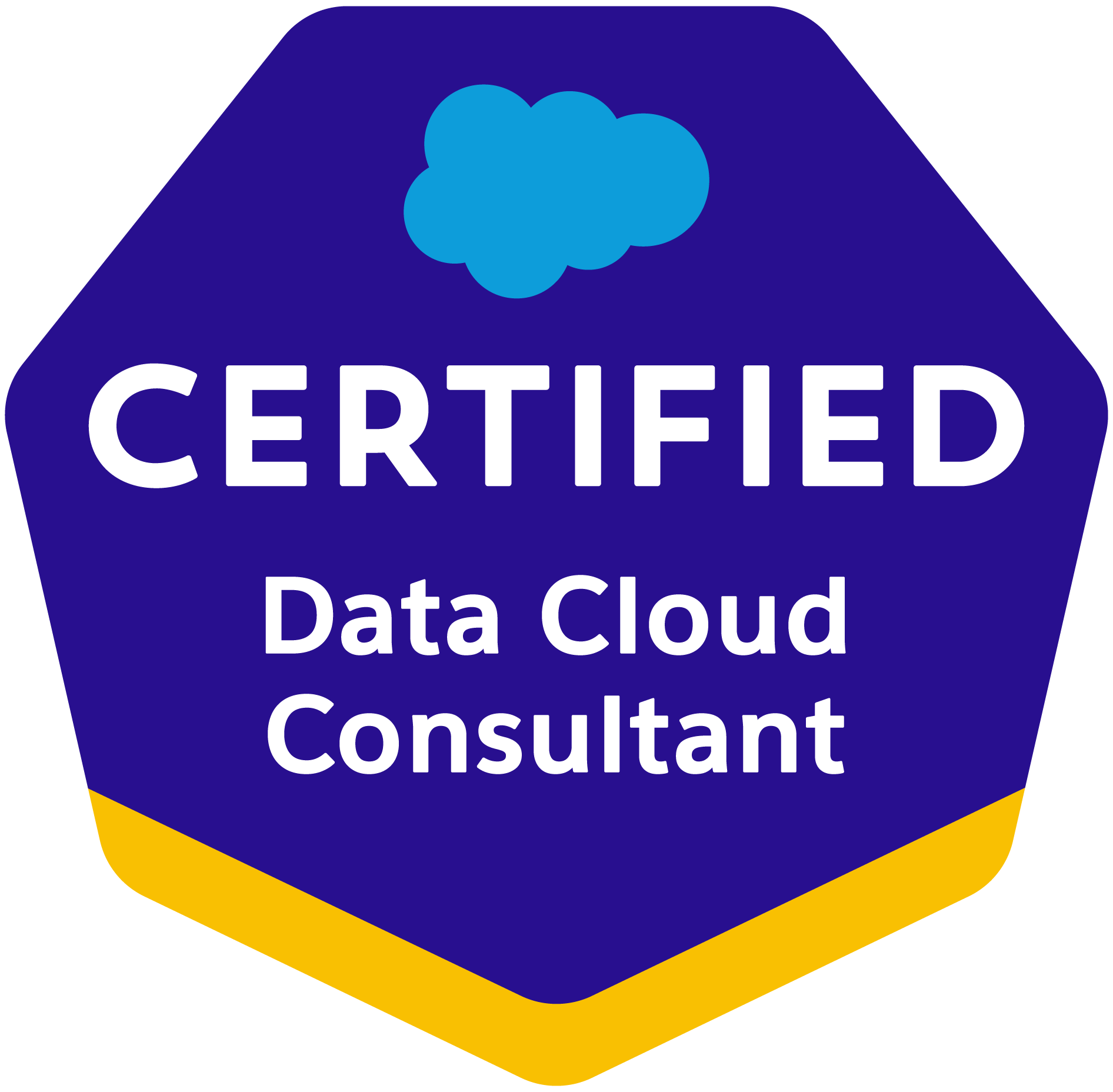 Salesforce Certified Data Cloud Consultant