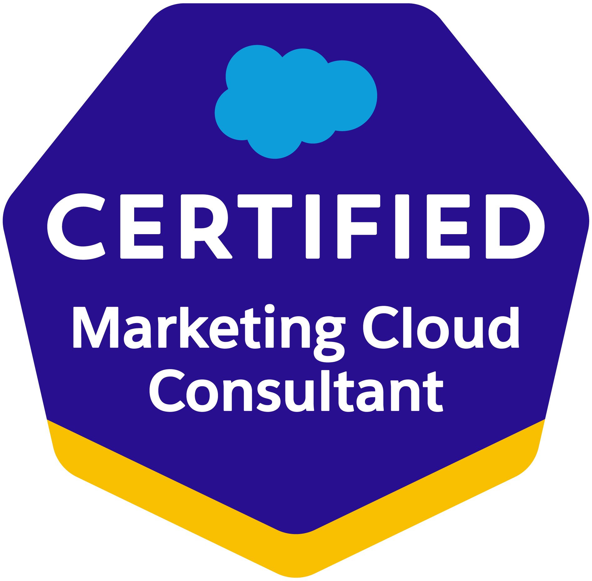 Salesforce Certified Marketing Cloud Consultant